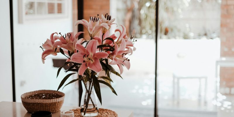 valeriia-miller--spvZn1eGX0-unsplash